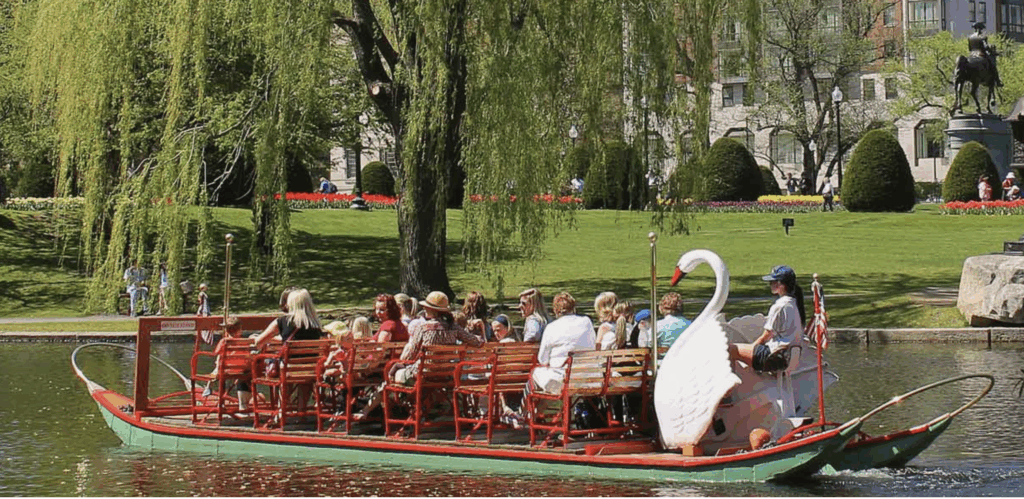 Swan Boats